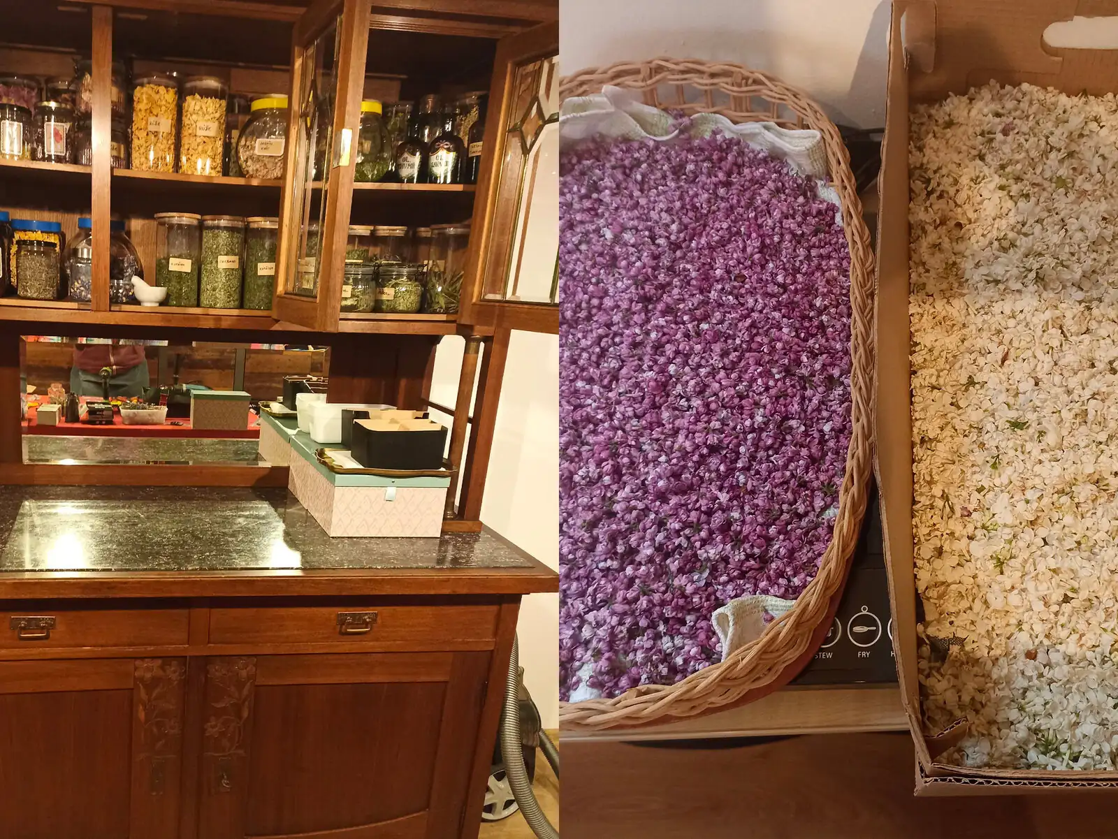 bylinkova dilnicka katerina matuszynska nemcova ostrava bylinky